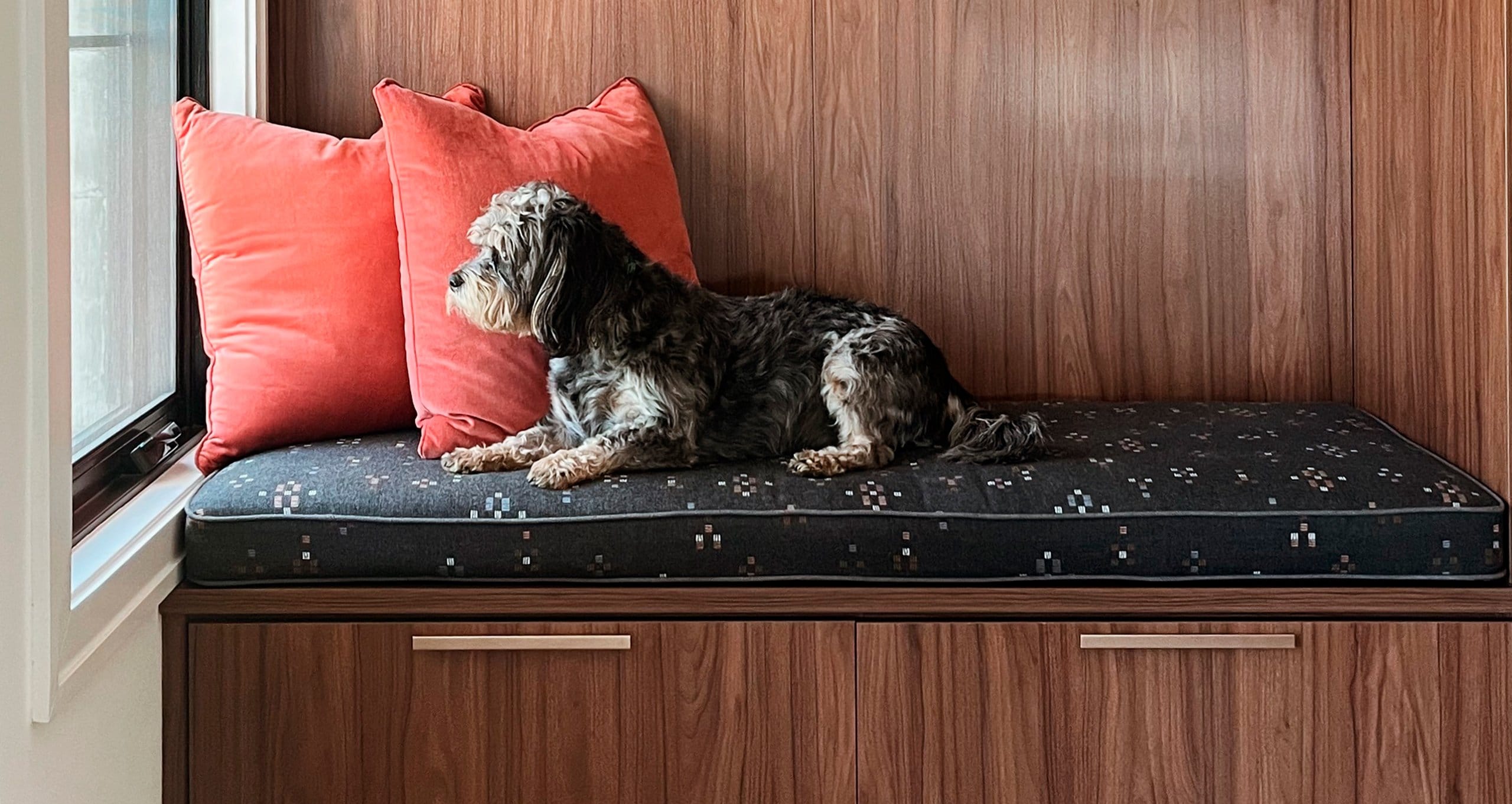 Built in custom bookshelves shown in a living room in a dark wood finish with gold hardware from CaliforniaClosets